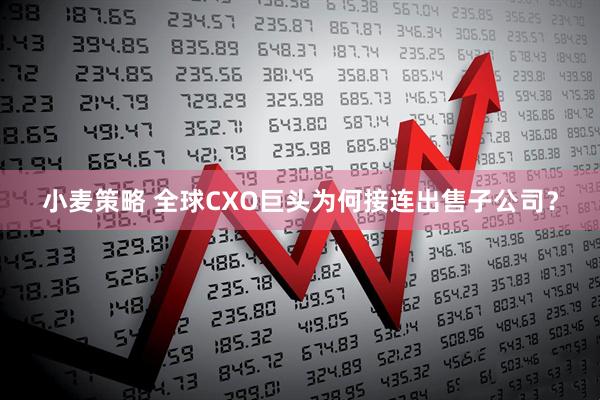小麦策略 全球CXO巨头为何接连出售子公司？