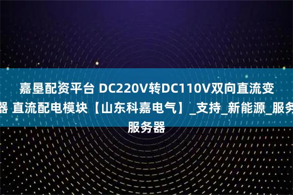 嘉垦配资平台 DC220V转DC110V双向直流变换器 直流配电模块【山东科嘉电气】_支持_新能源_服务器